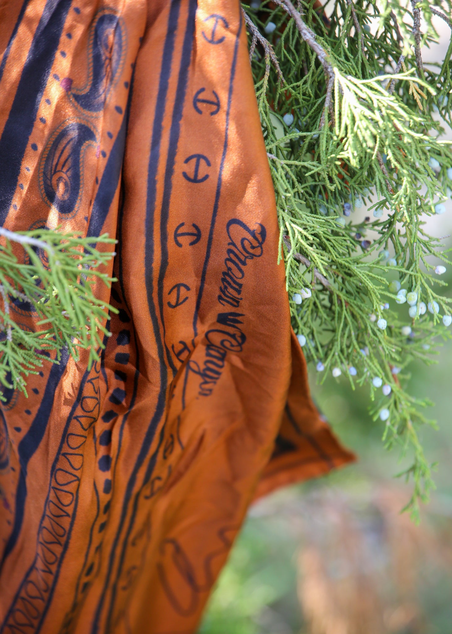 The Cowboy's Dictionary — Crown & Canyon